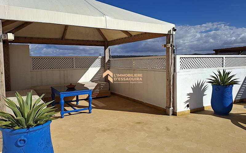 Appartement chaleureux, deux terrasses  (20)